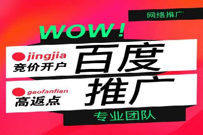 网络推广竞价实战：某电商平台的成功案例